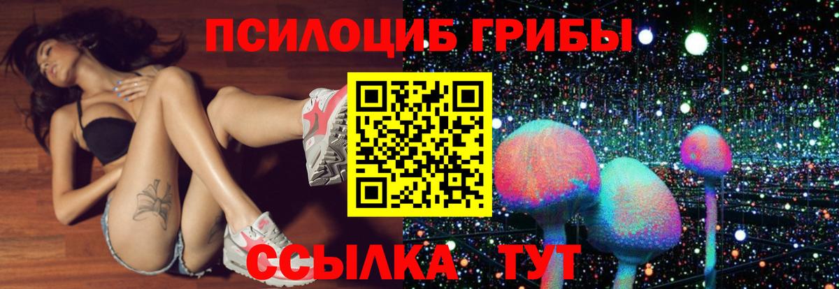 Псилоцибиновые грибы Cubensis Благодарный
